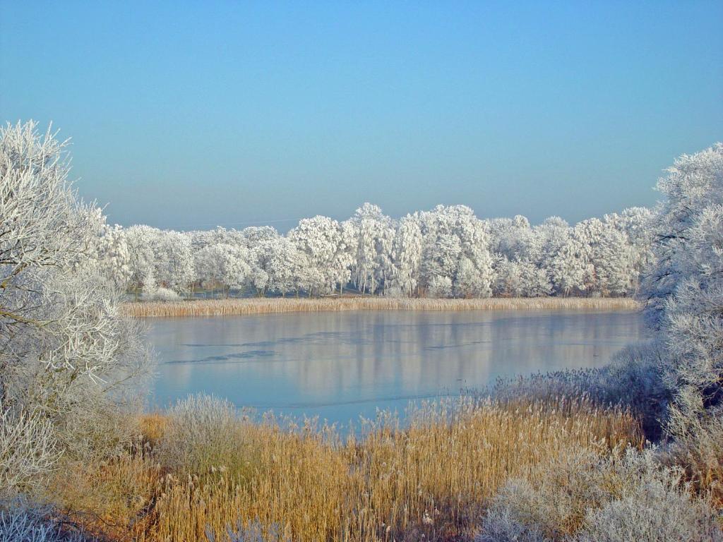 Hotel & Spa Sommerfeld - Adults Only Kremmen Bagian luar foto